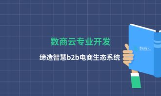 數(shù)商云專業(yè)開(kāi)發(fā),締造智慧b2b電商生態(tài)系統(tǒng)